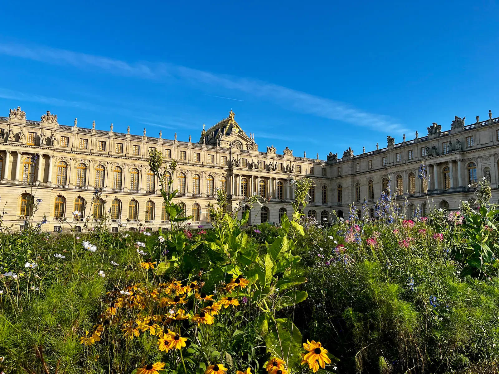 The Château de Versailles seen across the flower beds of its gardens